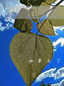 如果欠了網(wǎng)貸還不上怎么辦(欠了各種網(wǎng)貸還不上怎么辦)