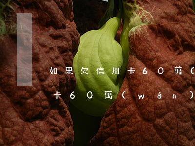 如果欠信用卡60萬(wàn) 如果欠信用卡60萬(wàn)