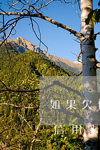 如果欠信用卡不還會怎么樣(為什么好多人欠信用卡不還)