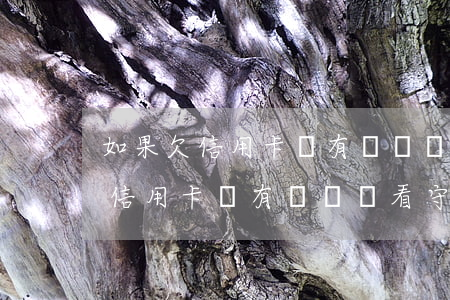 如果欠信用卡沒有還會進看守所嗎-如果欠信用卡沒有還會進看守所嗎怎么辦