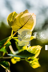 如果欠信用卡的(如果欠信用卡的錢沒辦法還怎么辦)