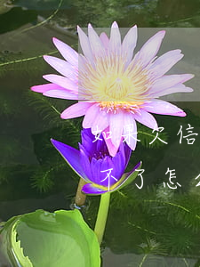 如果欠信用卡的錢沒辦法還(欠信用卡的錢還不了怎么辦)