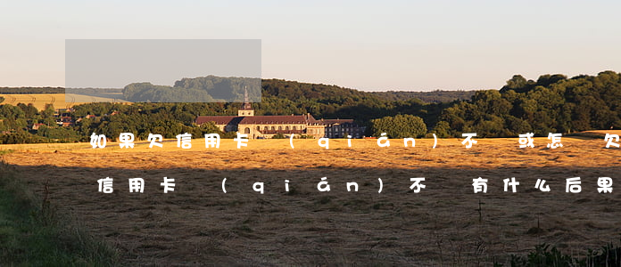 如果欠信用卡錢(qián)不還或怎樣(欠信用卡錢(qián)不還有什么后果)
