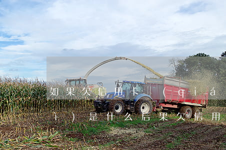 如果欠信用卡錢(qián)不還會(huì)是什么后果（欠信用卡欠怎么辦）