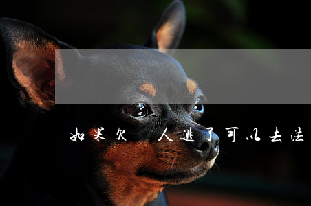 如果欠債人逃了可以去法院起訴嗎