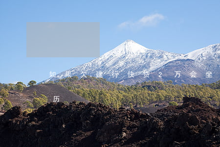 如果欠建行快贷2万会坐牢(建行快贷坐牢经历)