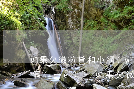 如果欠微粒貸和小網(wǎng)貸先還哪個(gè)-如果欠微粒貸和小網(wǎng)貸先還哪個(gè)呢