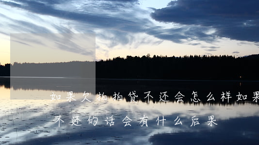 如果欠拍拍贷不还会怎么样(如果拍拍贷欠钱不还的话会有什么后果)