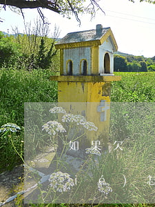 如果欠網(wǎng)貸公安單向凍結(jié)怎么辦-如果欠網(wǎng)貸公安單向凍結(jié)怎么辦呢