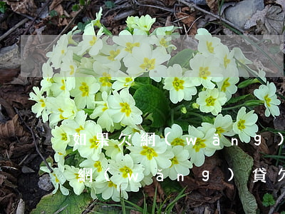如果欠網(wǎng)貸公安局會怎樣處理(網(wǎng)貸欠錢公安局會管嗎)