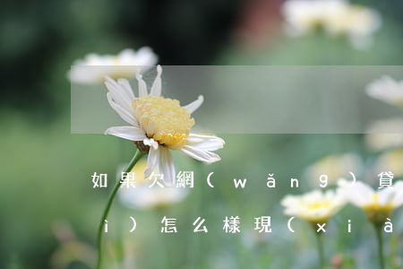 如果欠網(wǎng)貸太多不還會(huì)怎么樣(現(xiàn)在欠網(wǎng)貸不還會(huì)怎么樣)