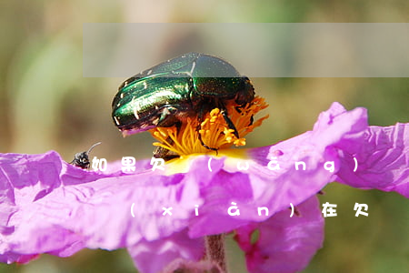 如果欠網(wǎng)貸太多不還會怎么樣(現(xiàn)在欠網(wǎng)貸不還會怎么樣)