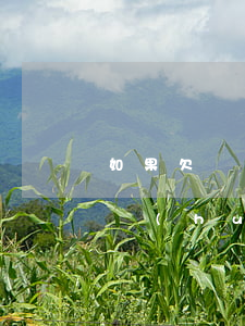 如果欠網(wǎng)貸沒(méi)還他會(huì)找到公司來(lái)嗎-欠網(wǎng)貸不還會(huì)找到你公司嗎