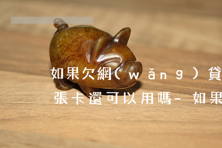 如果欠網(wǎng)貸沒(méi)還那張卡還可以用嗎-如果欠網(wǎng)貸沒(méi)還那張卡還可以用嗎怎么辦