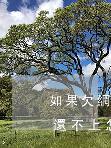 如果欠網(wǎng)貸現(xiàn)在還不上怎么辦(欠網(wǎng)貸款還不上怎么辦)