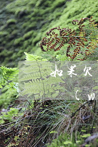 如果欠網(wǎng)貸還不起該怎么辦(欠網(wǎng)貸還不上怎么辦會有哪些后果)