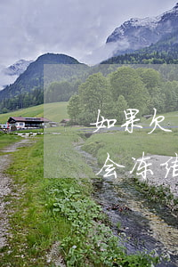 如果欠网贷公安单向冻结怎么办(欠网贷资金会冻结吗)