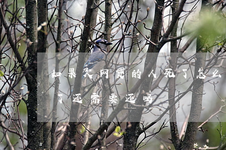 如果欠网贷的人死了怎么办(欠网贷如果人死了还需要还吗?)