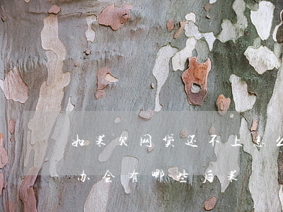 如果欠网贷还不上怎么办(欠网贷还不上怎么办会有哪些后果)