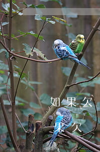 如果欠銀行200萬無力償還會怎么樣-如果欠銀行200萬無力償還會怎么樣呢