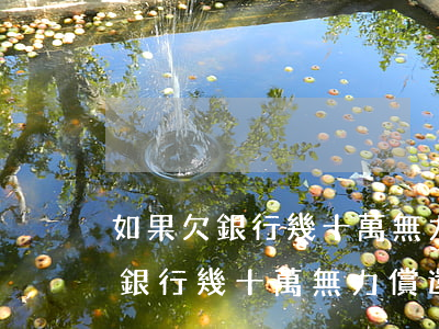 如果欠銀行幾十萬無力償還怎么辦-如果欠銀行幾十萬無力償還怎么辦呢