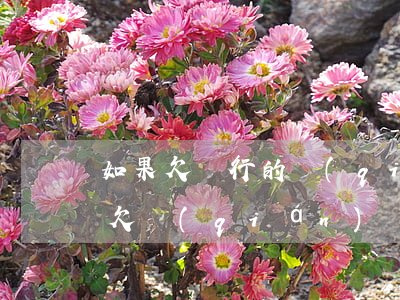 如果欠銀行的錢(qián)還不上怎么辦(欠錢(qián)銀行錢(qián)還不出來(lái)后果如何)