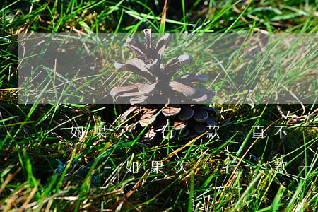 如果欠銀行貸款一直不還會(huì)怎么樣-如果欠銀行貸款一直不還會(huì)怎么樣呢