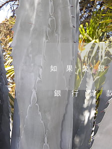 如果欠銀行貸款能正常用儲蓄卡嗎-如果欠銀行貸款能正常用儲蓄卡嗎安全嗎