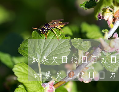 如果欠銀行錢無力償還怎么辦會被判刑嗎-如果欠銀行錢無力償還怎么辦會被判刑嗎
