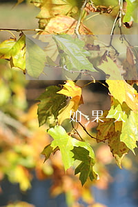 如果欠錢被起訴了怎么辦(欠錢到法院怎么起訴)