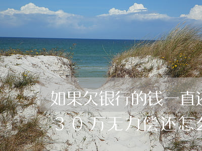 如果欠银行的钱一直还不上怎么办-欠银行30万无力偿还怎么办