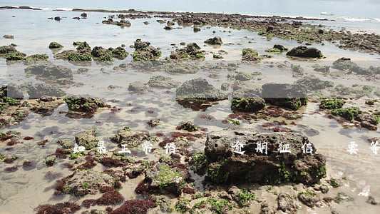如果正常借貸沒逾期征信還要等5年嗎