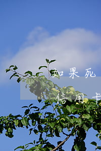 如果死者的信用卡逾期怎么樣處理-人死了信用卡逾期了家屬用不用償還