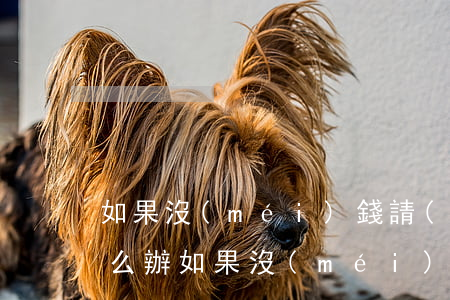 如果沒(méi)錢請(qǐng)律師怎么辦(如果沒(méi)錢請(qǐng)律師怎么辦1234)
