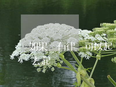 如果沒有律師可以起訴嗎(不找律師可以自己去起訴嗎)