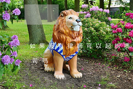 如果沒有律師可以起訴嗎(沒有律師可以打官司嗎)