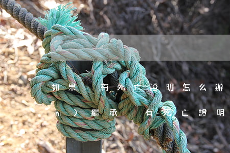 如果沒有死亡證明怎么辦繼承(遺產(chǎn)繼承沒有死亡證明可以起訴嗎)