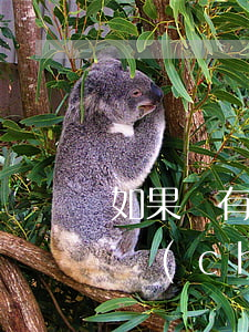 如果沒有遺囑房子該怎么分(如果沒有遺囑財產(chǎn)怎么分)