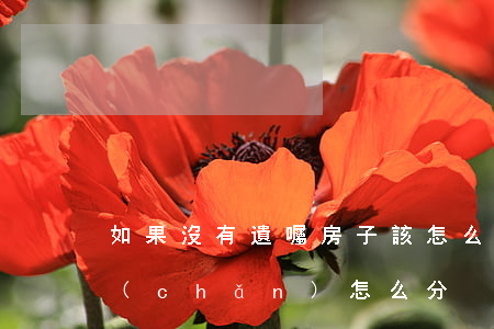 如果沒有遺囑房子該怎么分(沒有寫遺囑財產(chǎn)怎么分)