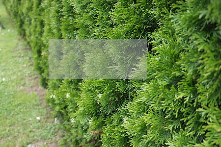 如果沒有遺囑財(cái)產(chǎn)怎么分(沒有寫遺囑財(cái)產(chǎn)怎么分)