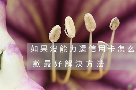 如果沒能力還信用卡怎么辦(信用卡沒能力還款最好解決方法)