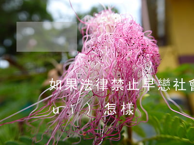 如果法律禁止早戀，社會(huì)將會(huì)怎樣
