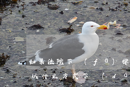 如果法院下發(fā)律師函會(huì)以什么方式(下達(dá)律師函以后會(huì)怎樣)