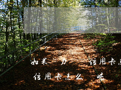 如果無力償還信用卡怎么辦-如果無力償還信用卡怎么辦呢