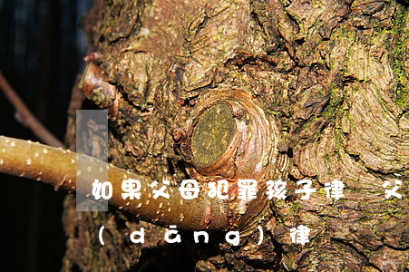 如果父母犯罪孩子律師(父母犯罪子女可以當(dāng)律師嗎)
