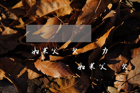 如果父親欠債無力償還兒子有義務(wù)償還嗎-如果父親欠債無力償還兒子有義務(wù)償還嗎怎么辦