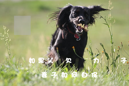 如果父親欠債無力償還子女怎么辦-丈夫欠債妻子如何自保