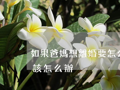 如果爸媽想離婚要怎么辦(如果爸媽要離婚我該怎么辦)