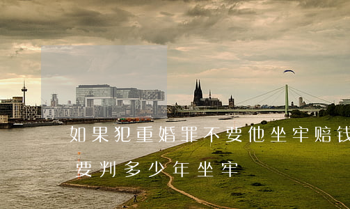如果犯重婚罪不要他坐牢赔钱可以吗(重婚罪要判多少年坐牢)