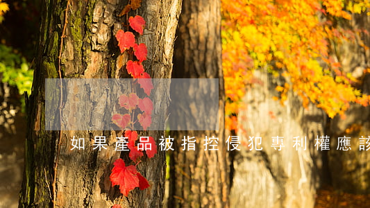 如果產品被指控侵犯專利權應該如何處理